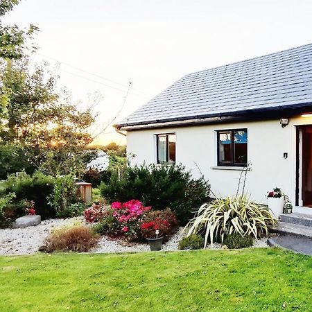 Butterfly Guesthouse - Entire Home Within 5Km Of Galway City Exterior foto