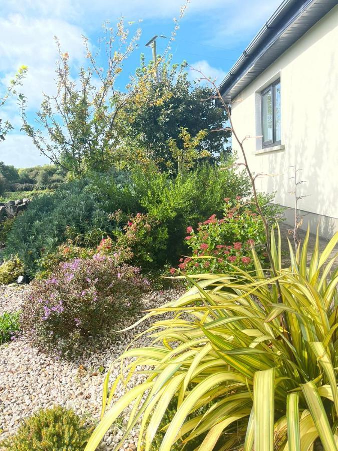 Butterfly Guesthouse - Entire Home Within 5Km Of Galway City Exterior foto