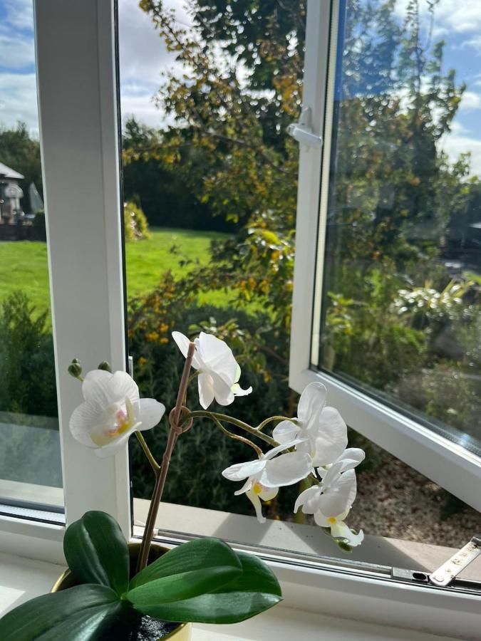 Butterfly Guesthouse - Entire Home Within 5Km Of Galway City Exterior foto