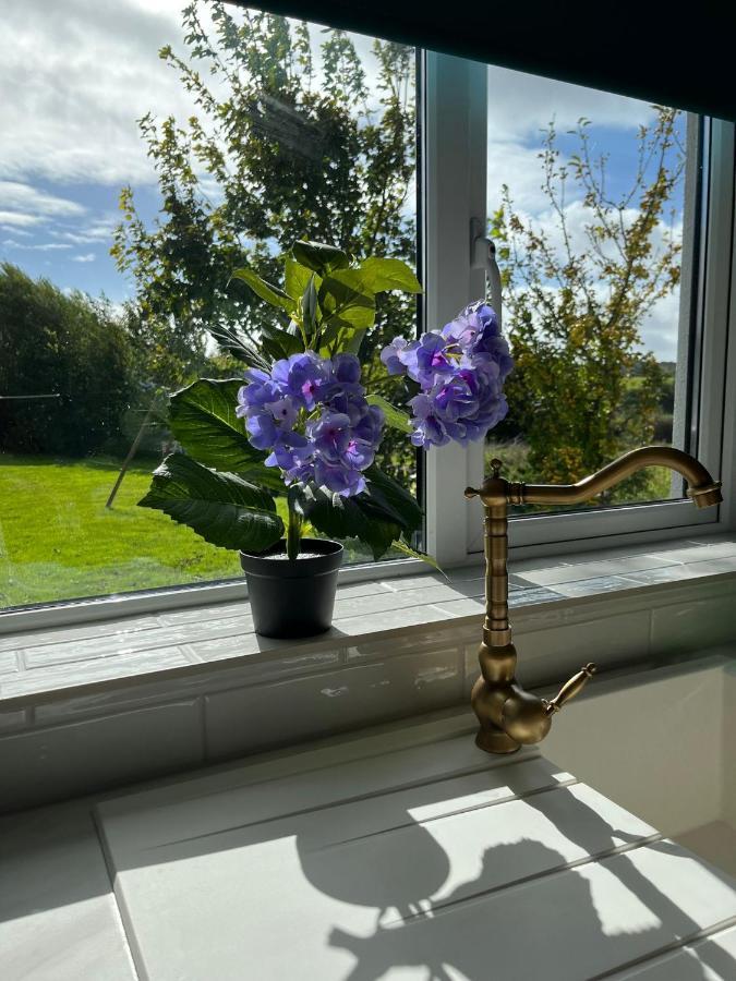 Butterfly Guesthouse - Entire Home Within 5Km Of Galway City Exterior foto