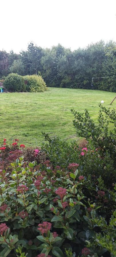 Butterfly Guesthouse - Entire Home Within 5Km Of Galway City Exterior foto